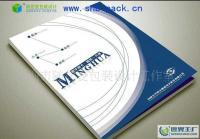 專業平面設計服務覆蓋廣州荔灣、白云、增城、南沙，助力企業畫冊設計